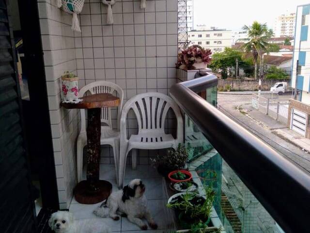 #234 - Apartamento para Venda em Praia Grande - SP - 3